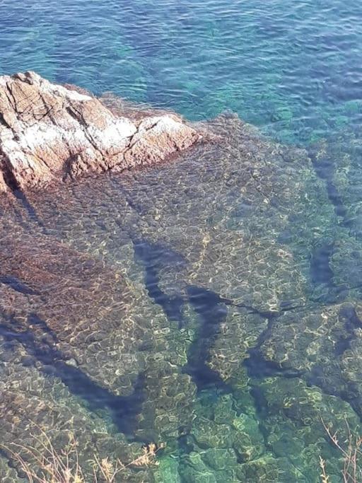 Mansarda Sul Mare - La Contessa Di Caprafico Apartment *